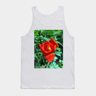 Red rose in the garden Tank Top